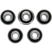 Rear Independent Susp Kit