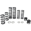 Dual Rate Spring Kit Pol