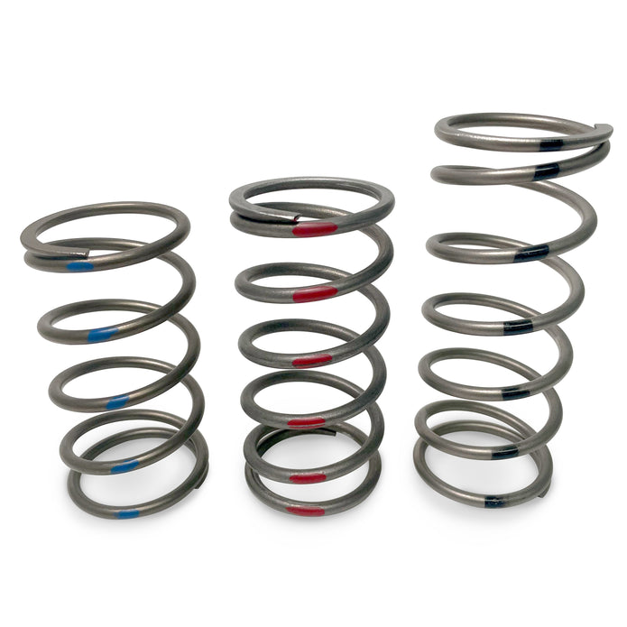 TAPP Primary Clutch Springs — Blue, Black, Red options