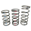 TAPP Primary Clutch Springs — Blue, Black, Red options