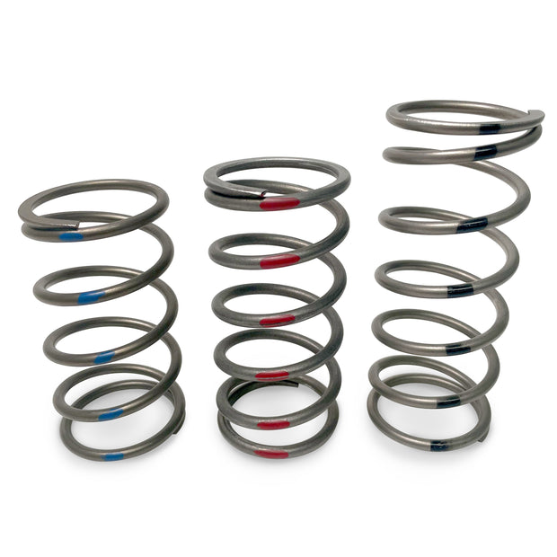 TAPP Primary Clutch Springs — Blue, Black, Red options