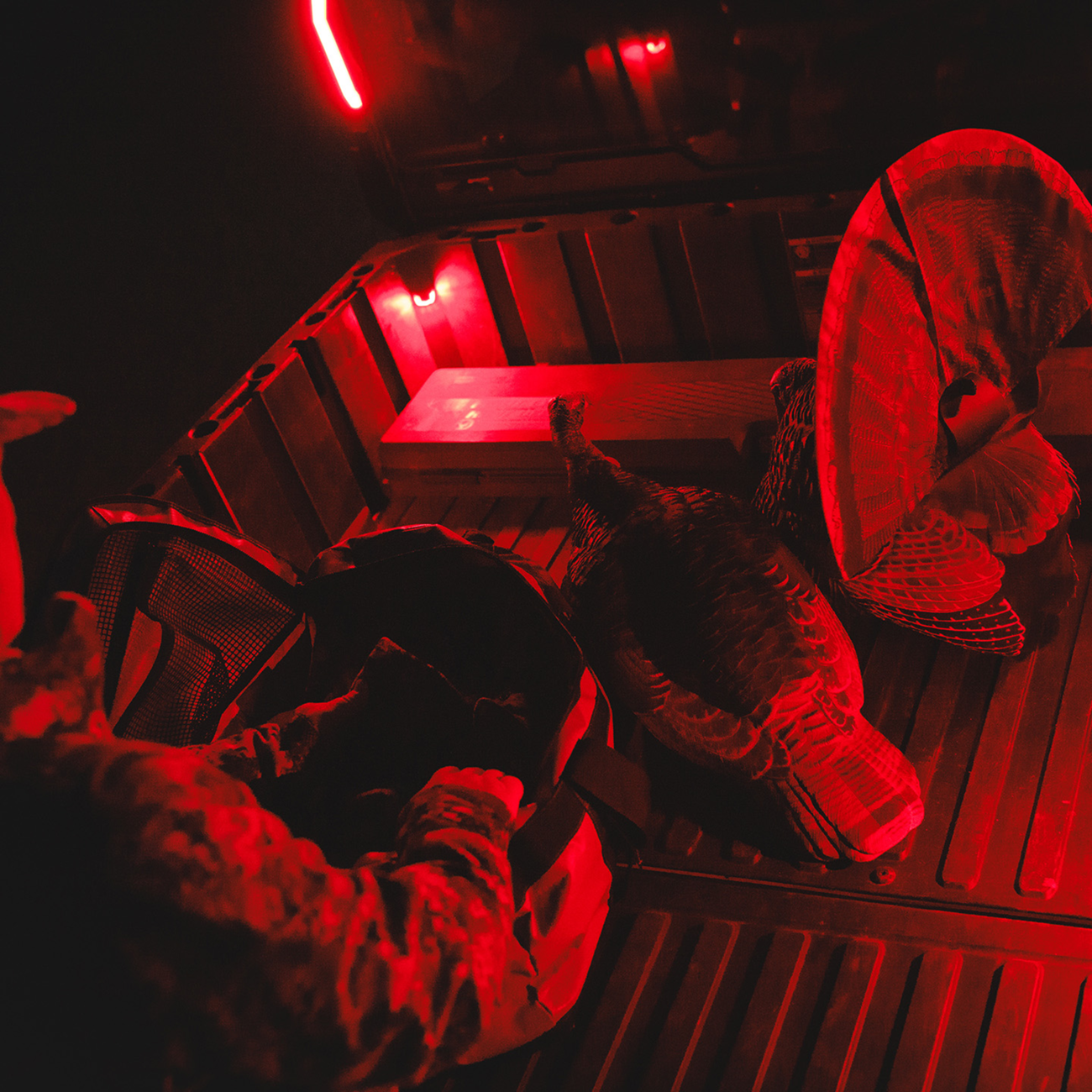 RAVEK Trunk Bed Light - Red - Ranger XD 1500 64-111R
