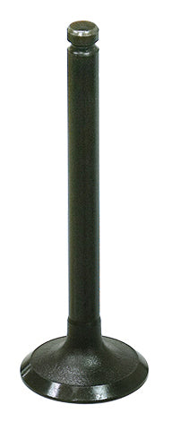 Exhaust Valve