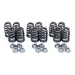 EVP valve spring and titanium retainer kit for Can-Am Maverick R