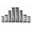 Can-Am Maverick R X RS 2ST Stage 1 Spring Kit (2024+)