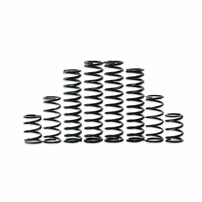 Dual Rate Spring Kit Kaw