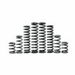 Dual Rate Spring Kit Kaw