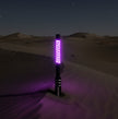 Game Changer LED Whip Set - Savage Sage Green