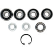 Rear Independent Susp Kit