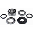 All Balls Differential Kit for Polaris RZR 1000 RS1 / RZR XP 1000 2018-2022